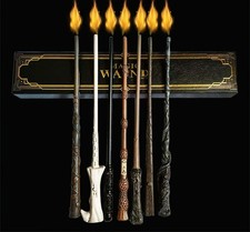 Magic Fire Dumbledore Hermione